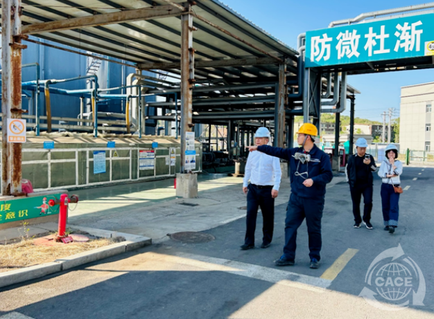 1684140935417921.png 12.png